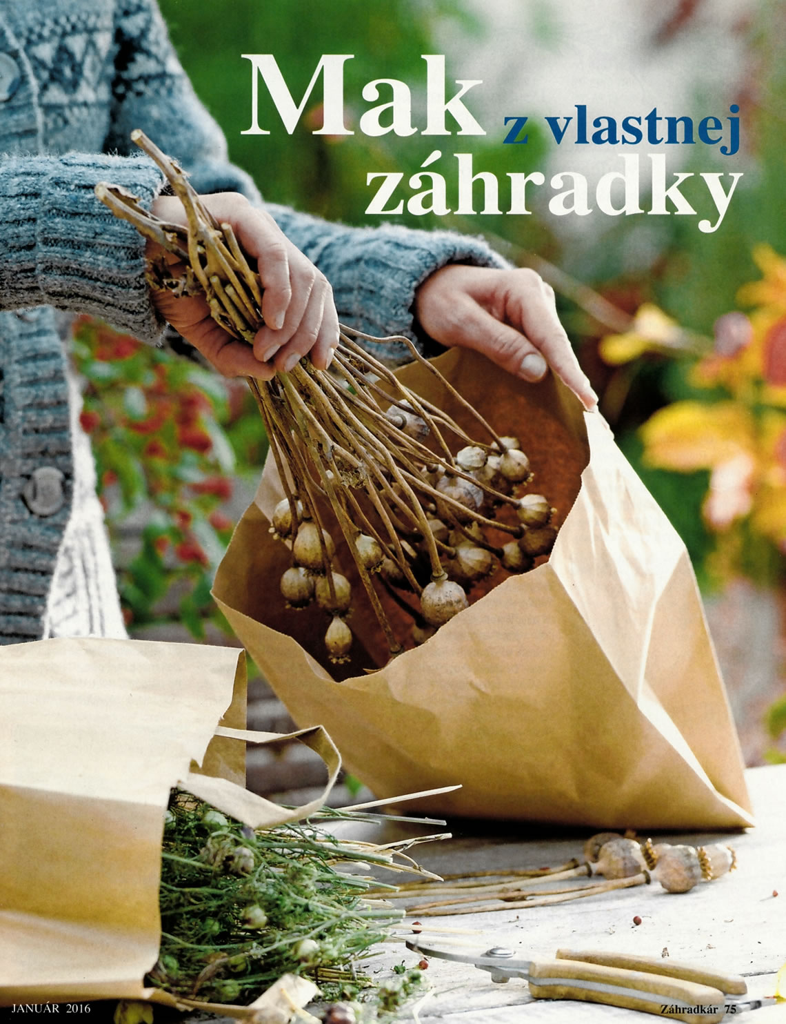 Mak z Jarnej - Gabriela Čechovičová - Záhradkár , vydanie január 2016